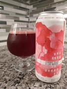 CraftShack® Untitled Art Cherry Sour à La Mode Review