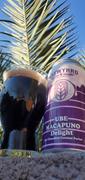 CraftShack® Brewyard Ube Macapuno Delight Porter Review