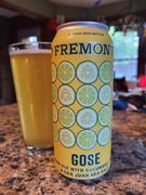 CraftShack® Fremont Gose Sour Review