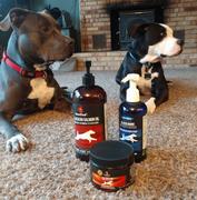 Best Paw Nutrition Pure Wild Alaskan Salmon Oil Review