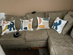 Coop Home Goods New Harmony Throw Pillow Set Review