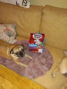 Low Price Foods Ltd 2x Barking Heads Little Paws Golden Years with Chicken Dry Dog Food (2x1kg) Review