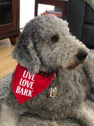 WagSwagCo Live Love Bark Bandana - Color Options Avail. (No Personalization) Review