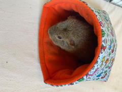 The Hoghouse LARGE Drama Llama guinea pig cosy snuggle cave. Guinea Pig padded stay open snuggle cave. Review