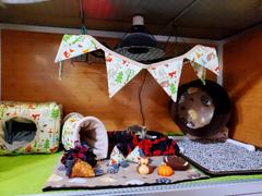 The Hoghouse Camping miniature bunting. Viv decorations. Cage decorations. Review