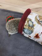 The Hoghouse Christmas Hedgehogs stay open tunnel. Padded tunnel for hedgehogs and small pets. Review