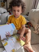 Wildling Books Aroha's Way - A Children's Guide through Emotions Review