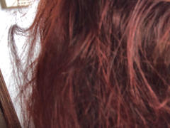 The Henna Guys Hair Loss Remedy & Anti-Dandruff Combo - Fenugreek & Reetha Powder Review