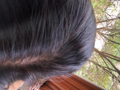 The Henna Guys Hair Thickening Combo - Brahmi & Katha Powder Review