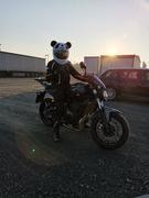Moto Loot Motorcycle Helmet Cover - Panda Review