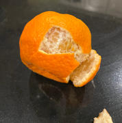 Fast-Growing-Trees.com EasyPeel Clementine Tree Review