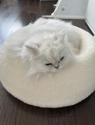 Tuft + Paw Puff Cat Bed Review