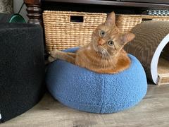 Tuft + Paw Puff Cat Bed Review
