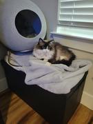 Tuft + Paw Stellar Cat Bed Review
