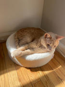 Tuft + Paw Kip Cat Cushion Review