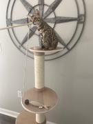 Tuft + Paw Frond Cat Tree Review