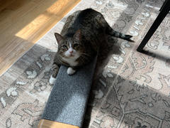 Tuft + Paw Tab Scratching Board Review