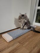 Tuft + Paw Tab Scratching Board Review