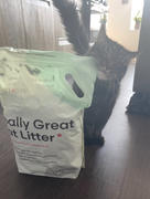 Tuft + Paw Really Great Cat Litter Review