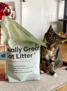 Tuft + Paw Really Great Cat Litter Review