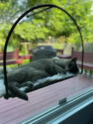 Tuft + Paw Cloud Nine Window Hammock Review