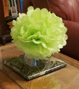 tableclothsfactory.com 6 Pack 10 Apple Green Paper Tissue Fluffy Pom Pom Flower Balls Review