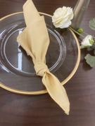 tableclothsfactory.com 5 Pack | Champagne Seamless Cloth Dinner Napkins, Wrinkle Resistant Linen | 17x17 Review