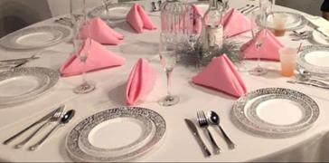 tableclothsfactory.com 5 Pack | Pink Seamless Cloth Dinner Napkins, Wrinkle Resistant Linen | 17x17 Review