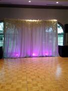 tableclothsfactory.com 20FT x 10FT Silver Metallic Shiny Spandex Glittering Backdrop Review
