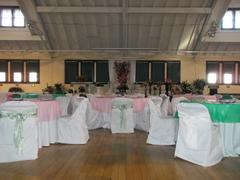 tableclothsfactory.com 5 PCS | 6x106 Apple Green Crinkle Crushed Taffeta Chair Sashes Review
