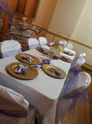 tableclothsfactory.com 5 PCS | Purple Sheer Organza Chair Sashes Review