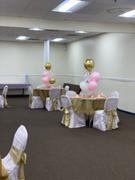 tableclothsfactory.com 5 Pack | Champagne Satin Chair Sashes | 6x106 Review