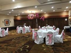 tableclothsfactory.com 5 Pack | Pink Satin Chair Sashes | 6x106 Review