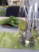 tableclothsfactory.com 72 x 72 Apple Green Seamless Satin Square Tablecloth Overlay Review