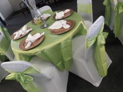 tableclothsfactory.com 72 x 72 Apple Green Seamless Satin Square Tablecloth Overlay Review