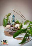 tableclothsfactory.com Set of 4 | 7 Air Plant Glass Terrarium Globe Hanging Plant Holders Review