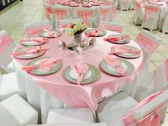 tableclothsfactory.com 5 Pack | Pink Seamless Satin Cloth Dinner Napkins, Wrinkle Resistant | 20x20 Review