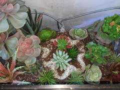 tableclothsfactory.com Set of 3 | Multi Colored Fake Succulents | 6 Echeveria Stem Decorative Artificial Plants Review