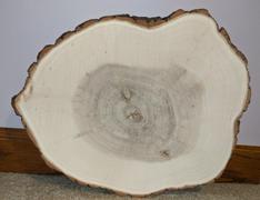 tableclothsfactory.com 15 Dia | Rustic Natural Wood Slices | Round Poplar Wood Slabs | Table Centerpieces Review