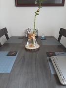 tableclothsfactory.com 9 Dia | Rustic Natural Wood Slices | Round Poplar Wood Slabs | Table Centerpieces Review