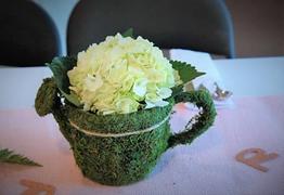 tableclothsfactory.com Set of 2 | Preserved Moss Watering Can Planter Box with Natural Braided Twine Bow - 11 & 10 Review