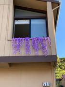 tableclothsfactory.com 42 Lavender Artificial Wisteria Vine | Silk Hanging Flower Garland Review