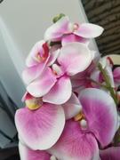 tableclothsfactory.com 2 Stems - 40 White/Purple Artificial Long Stem Orchids - Silk Flowers Orchid Bouquet Review
