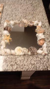 tableclothsfactory.com 150g Mixed Natural Seashell Decor | Beach Shells Vase Fillers Review