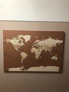 Trip Map Push Pin World Map - Brown / beige (Detailed) Review