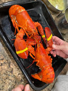 Get Maine Lobster The Old Port Lobster Dinner Review