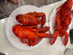 Get Maine Lobster Live Maine Lobsters Review