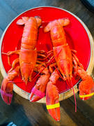 Get Maine Lobster Eight Pack Live Lobsters Review