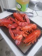 Get Maine Lobster Special Live Maine Lobsters 4-Pack (.85-1.2 lb) Review