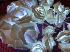 DecorZee Battery-Power Rose LED Flower String Light Review
